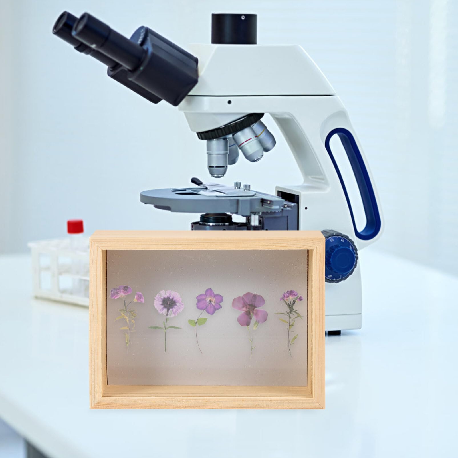 Butterfly Specimen Display Case - Entomology Shadow Box Frame for Butterfly Collections, Collages & Specimen Preservation | Perfect for Home Decor, Science Classrooms & Museum Exhibits