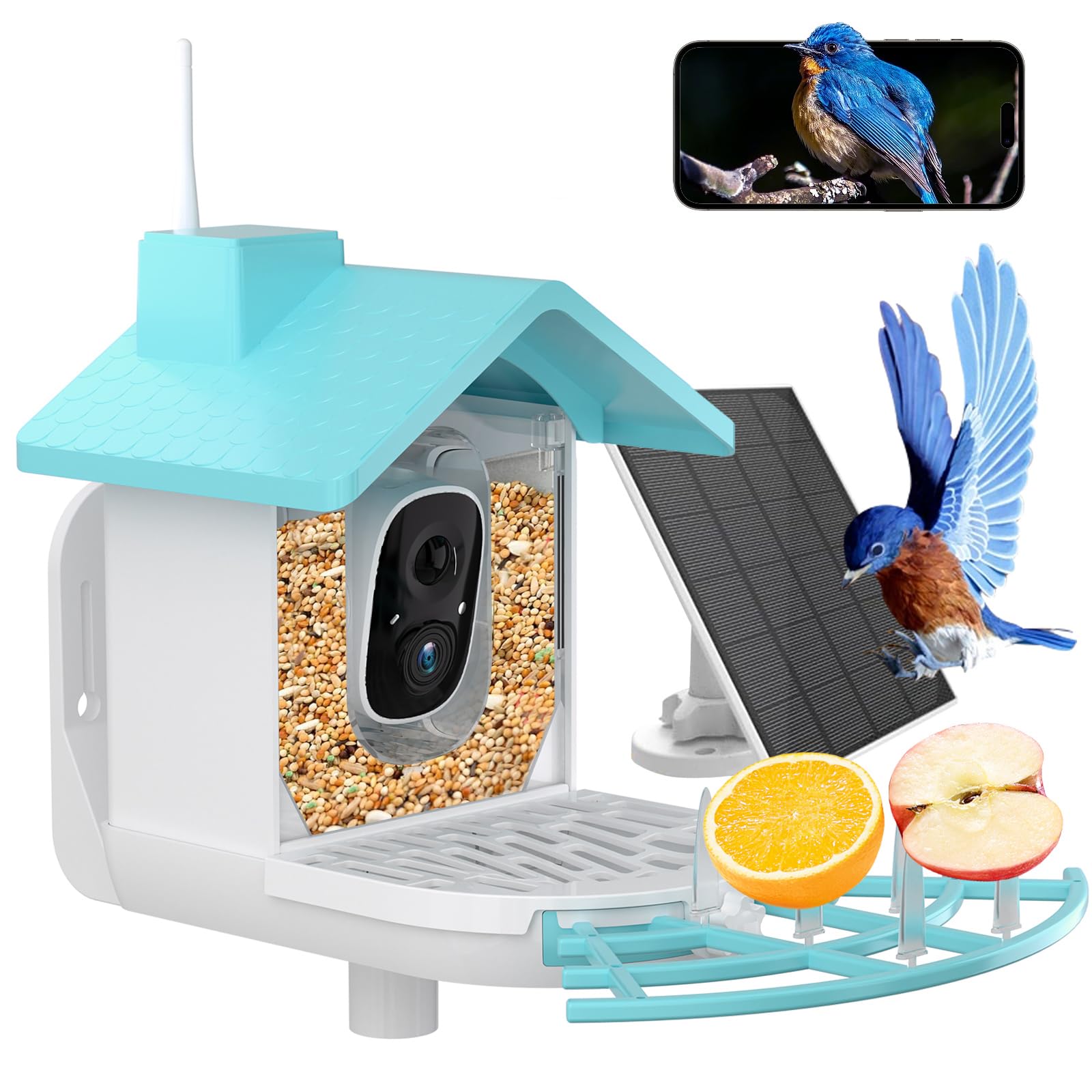 Wireless Solar Powered Smart Bird Feeder with HD 1080P Camera - AI Bird Identification, Night Vision & Squirrel Proof Design - Includes 64GB SD Card - Perfect Outdoor Gift for Bird Watching Enthusiasts (Great for Backyards, Gardens & Nature Observation)