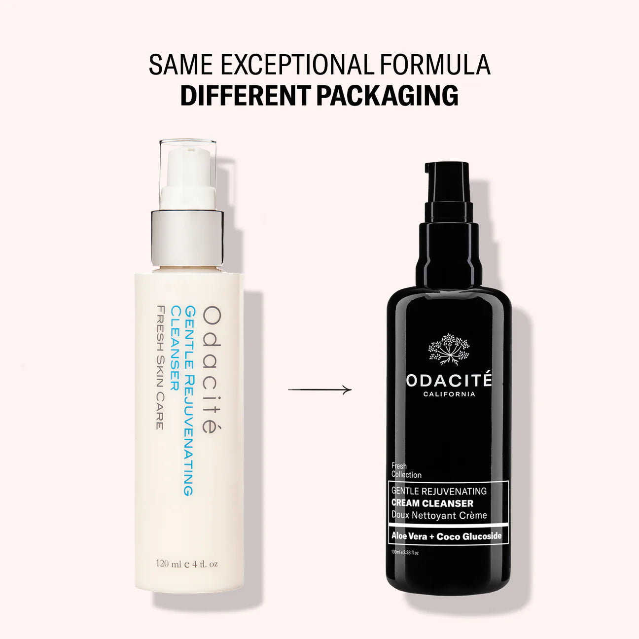 Gentle Rejuvenating Face Wash with Aloe Vera & Coconut - Hydrating Cream Cleanser for Sensitive Skin | Daily Skincare Routine & Makeup Removal
