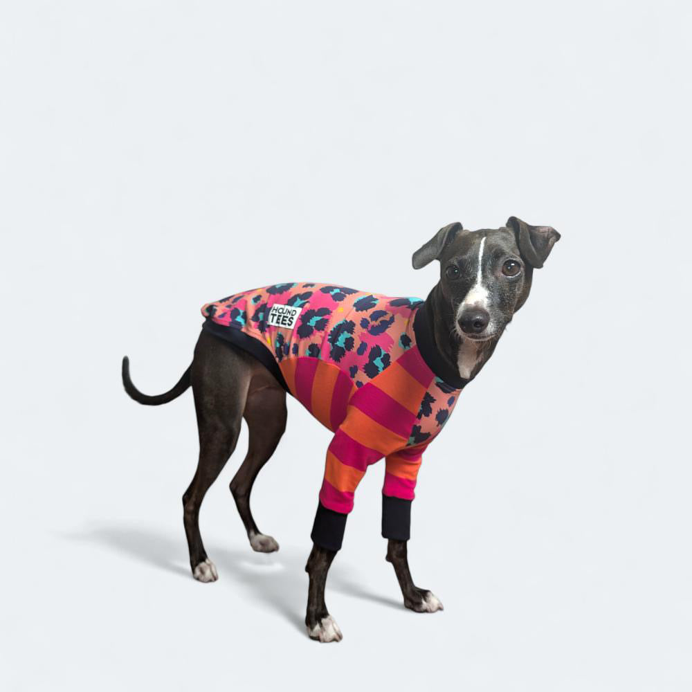 Peggy Disco Iggy Long Sleeve Hound T-Shirt for Women - Vintage Retro Graphic Tee - Casual Streetwear & Music Festival Outfit