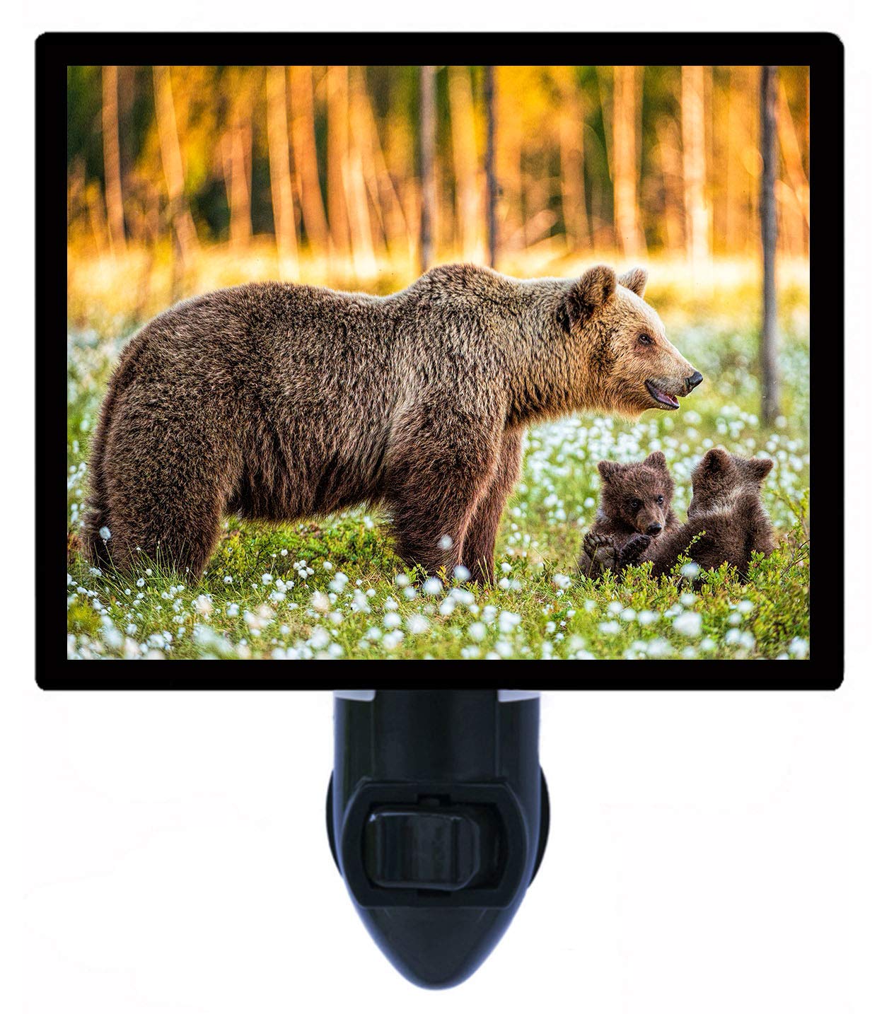 Decorative Photo Night Light - Mama Bear and Cubs, Brown Bears Nursery Lamp for Kids Room, Baby Shower Gift, Bedside Nightlight for Bedroom Decor