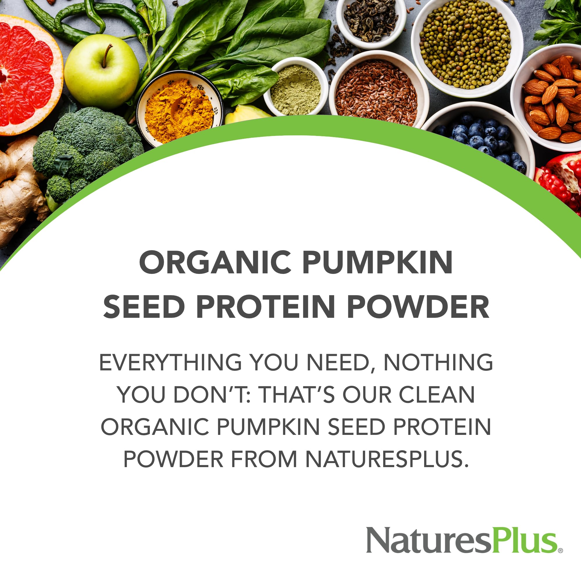 NaturesPlus Organic Pumpkin Seed Protein Powder - .95 lbs Vegan Plant-Based Protein Supplement for Energy, Prostate Health & Menstrual Support - Gluten-Free, Vegetarian - 15 Servings - Perfect for Smoothies, Baking & Post-Workout Recovery