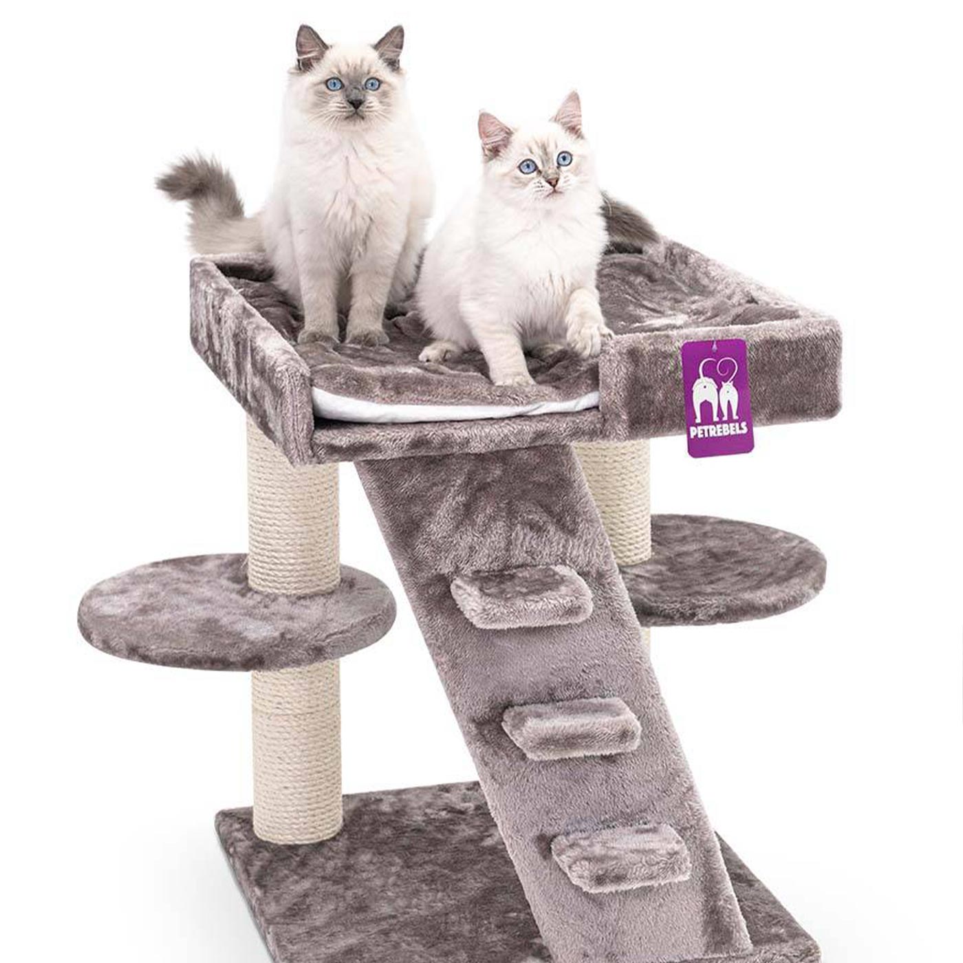 Little Rebels Tucson 61cm Cat Tree - Premium Scratching Post with Perch & Condo for Indoor Cats - Perfect for Play, Rest & Climbing in Small Spaces