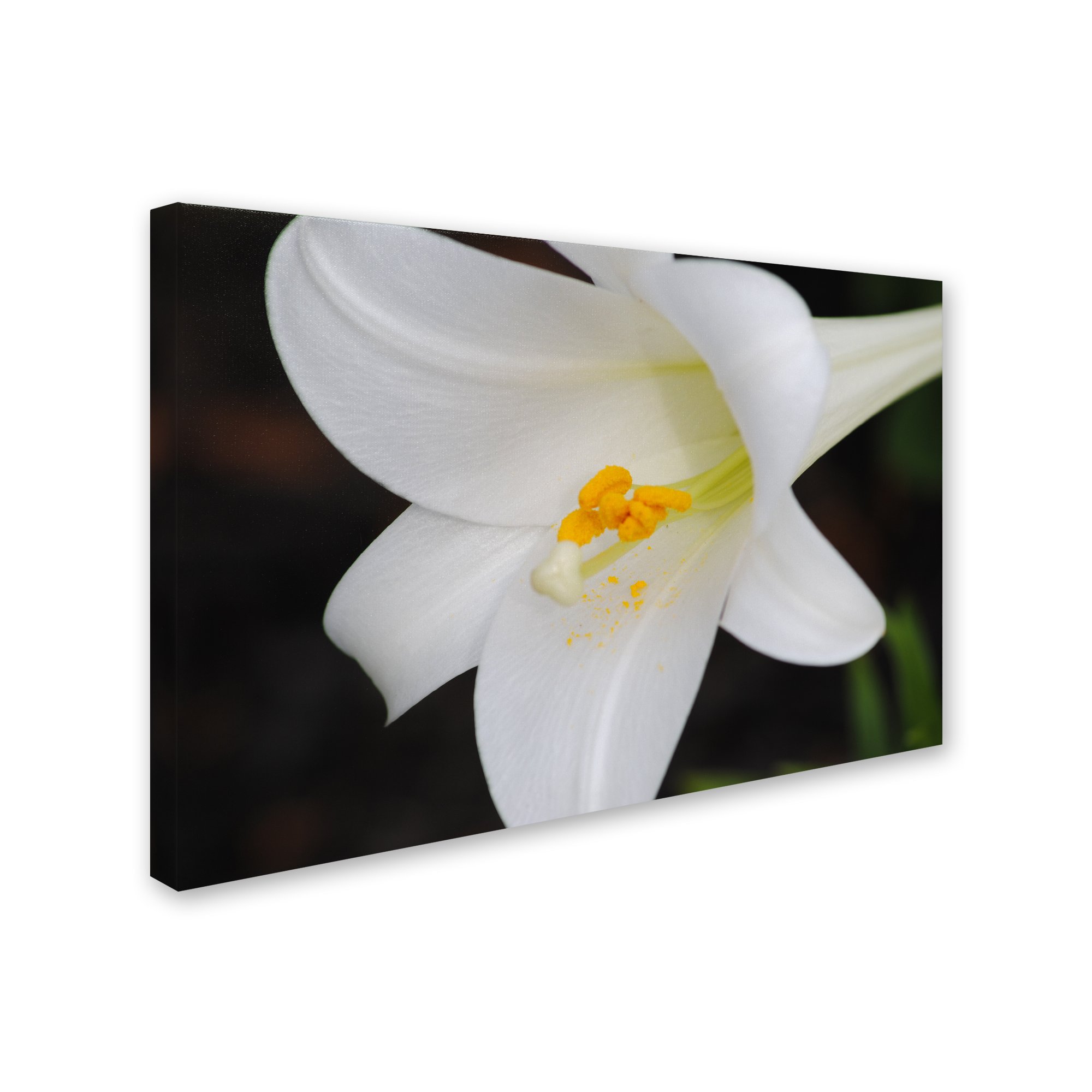 Monica Mize Easter Wall Art - 30
