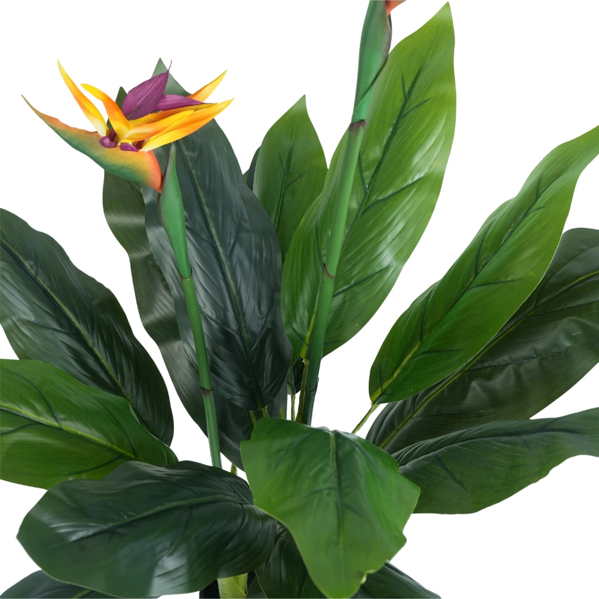 Premium Artificial Bird of Paradise Plant - 43