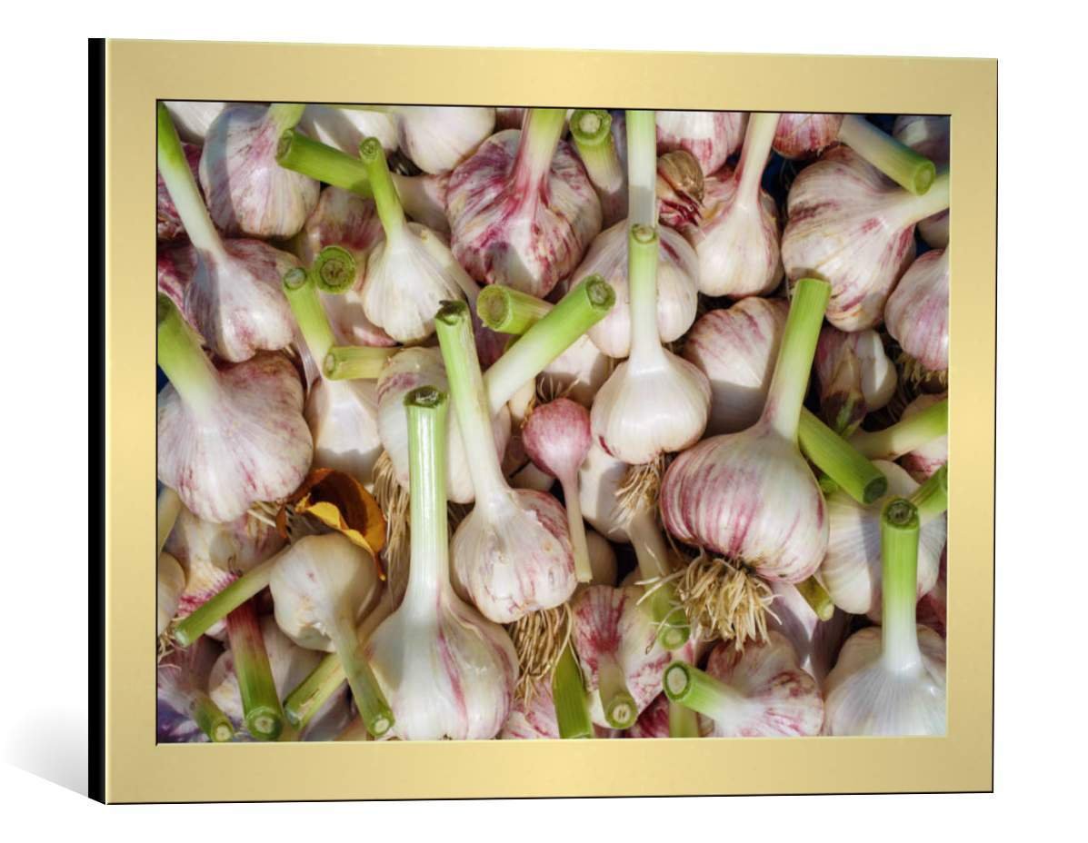 Framed Art Print: Aliaksei Verasovich Fresh Garlic Cloves - Decorative Fine Art Poster, 23.6x15.7 Inch Gold Brushed Picture Frame - Perfect for Kitchen Decor, Dining Room Wall Art & Farmhouse Style Home Decor