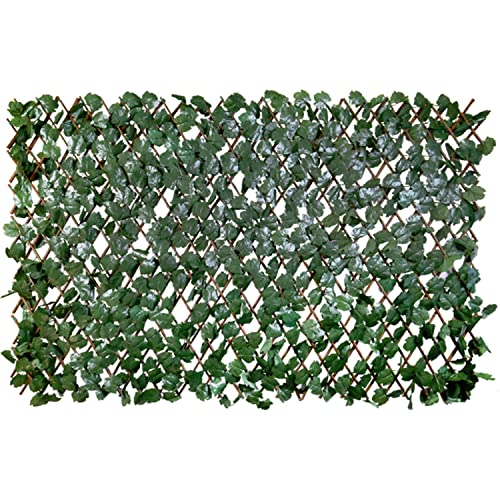 Double Side IVY