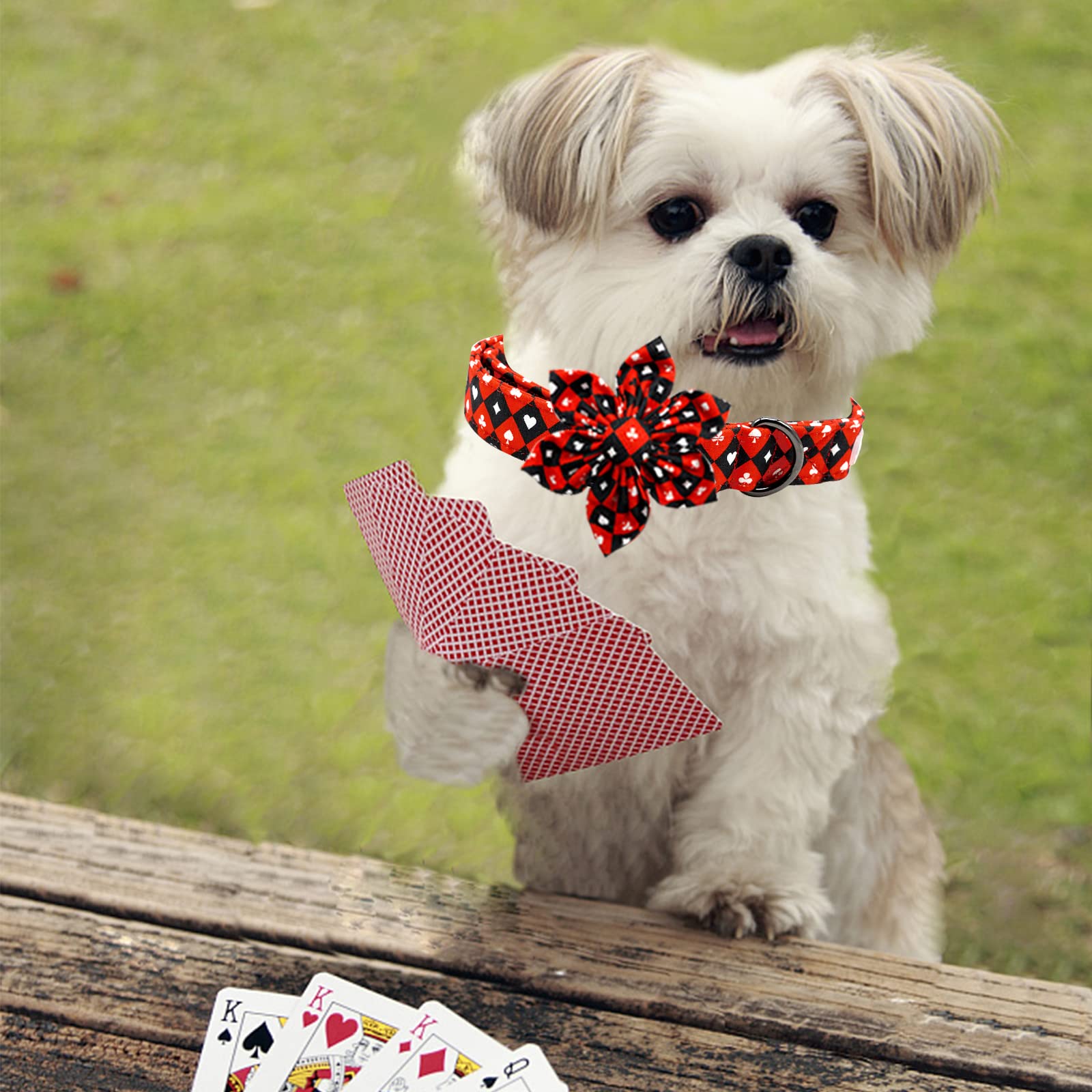 **Adjustable Floral Dog Collar with Bow - Cute & Durable Pet Collar for Medium Dogs - Perfect for Daily Walks, Pet Photos & Special Occasions**