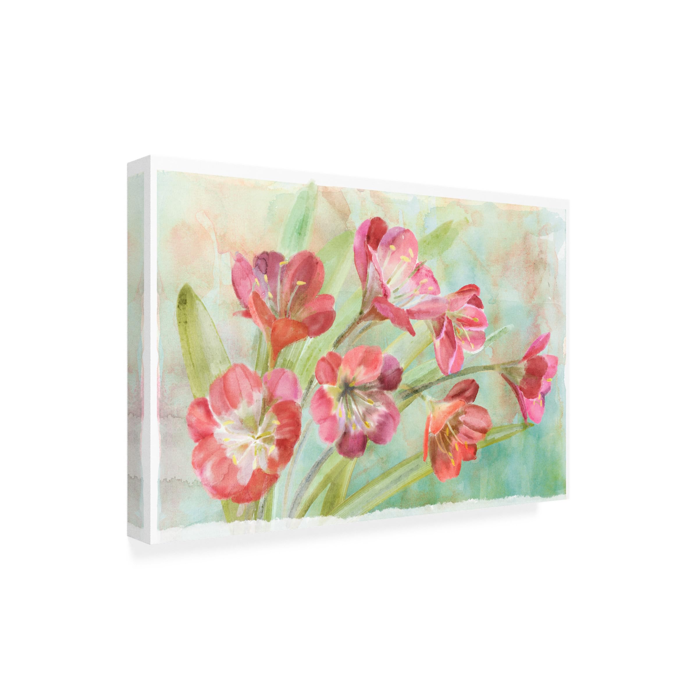 Trademark Fine Art 'Bowing Cleavia' Canvas Wall Art Print - Modern Home Decor for Living Room, Bedroom & Office