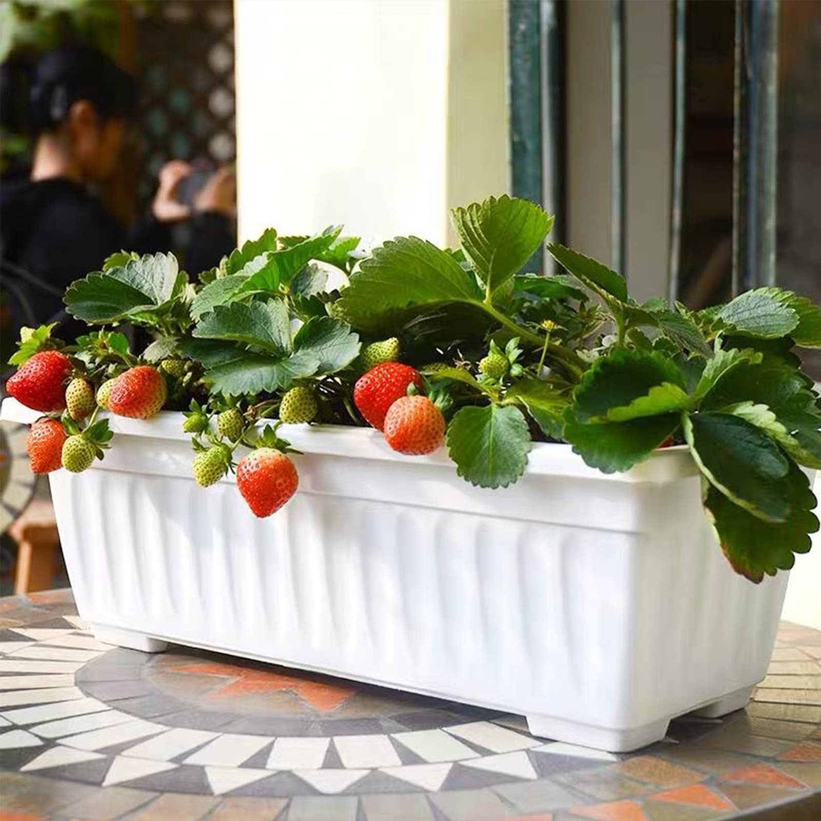 6 Pack White Plastic Window Box Planters - 17 Inch Rectangular Flower & Vegetable Planters with Drainage Trays - Perfect for Windowsill, Balcony, Patio, Garden & Porch Decor - Indoor/Outdoor Gardening Solution
