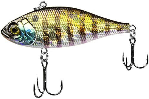 Sun Perch