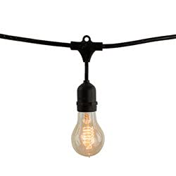 Technical Precision E26 Black NoSA19KT Bulbrite String Light Replacement - Perfect for Holiday Decorations, Indoor & Outdoor Lighting, and Party String Lights