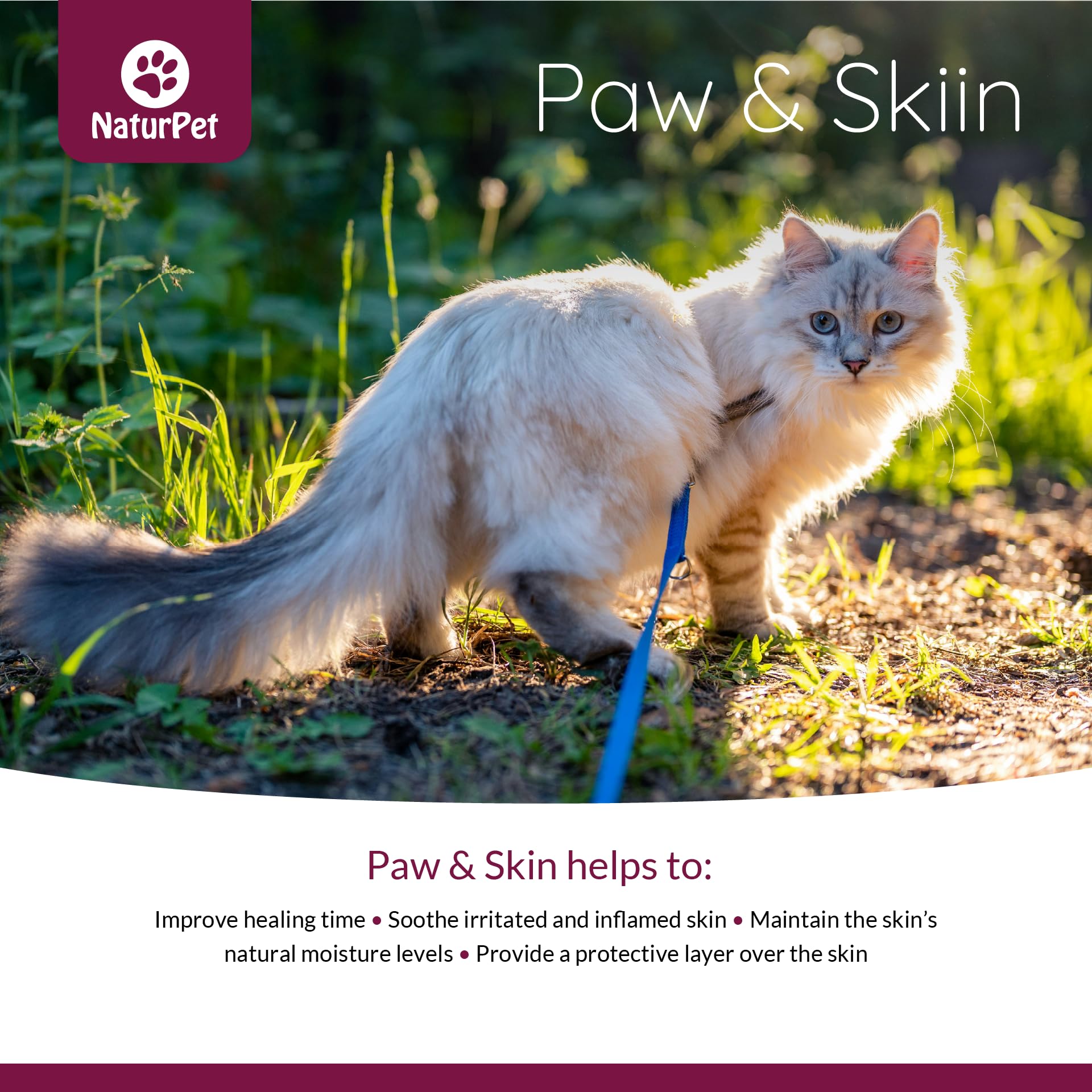 Naturpet Paw & Skin | 100% Natural Healing Balm for Dog Paws | 2 oz | Cracked, Dry & Brittle Paw Treatment | Wound Care & Protection | Perfect for Winter, Hiking & Outdoor Adventures