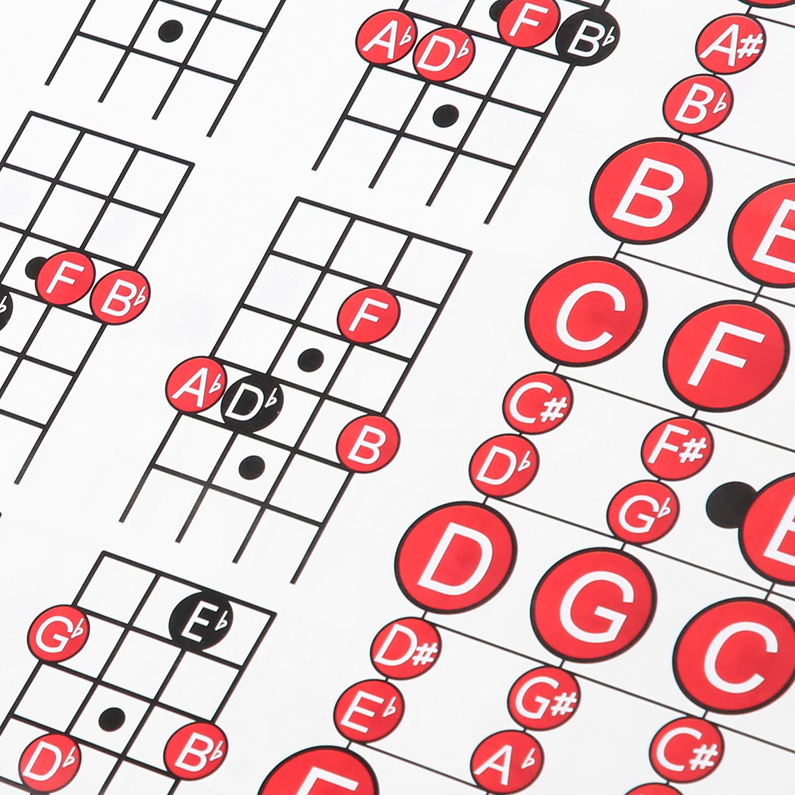 Tomotato Guitar Chord Poster - 4 String Electric & Bass Guitar Chord Chart Guide with Scales & Progressions - Perfect for Beginners & Teachers - Great for Practice Rooms, Music Studios & Home Decor