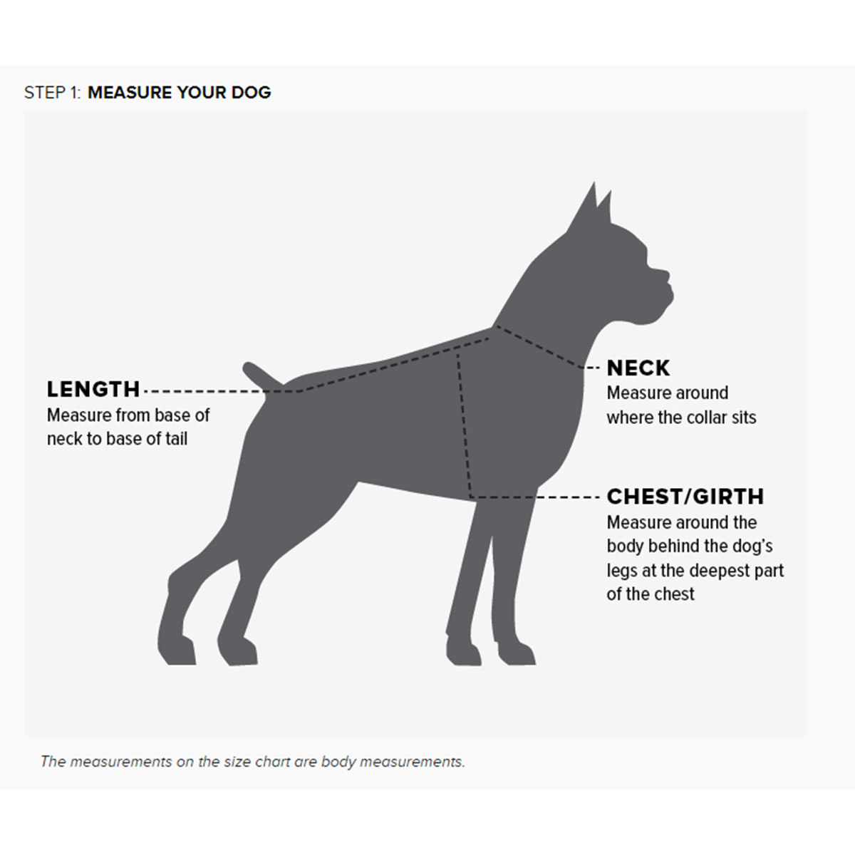 Ariat Team Softshell Dog Jacket - Waterproof & Windproof Winter Coat for Small to Large Dogs - Perfect for Outdoor Adventures, Hiking & Cold Weather Walks