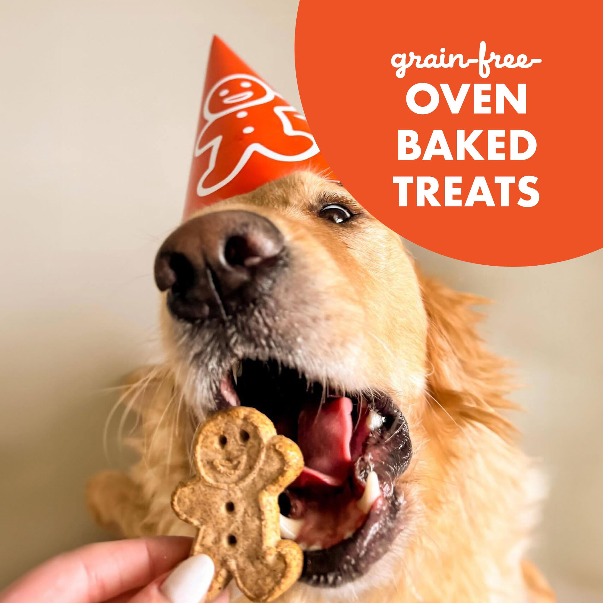 Cloud Star Grain Free Oven Baked Buddy Biscuits Dog Treats - Homestyle Peanut Butter Flavor, 14oz (Pack of 12) | Healthy Natural Snacks for Small & Large Dogs | Perfect for Training Rewards & Daily Treats