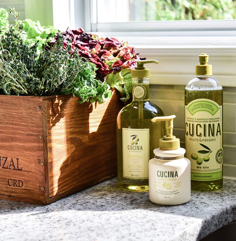 Fruits & Passion Cucina Lime Zest & Cypress Tree Hand Care Gift Set - Moisturizing Liquid Hand Soap (5.1 oz) & Nourishing Hand Cream (6.8 oz) | Perfect for Kitchen, Bathroom & Office Use | Natural Ingredients for Soft, Hydrated Hands