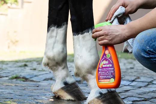 Equinatura Waterless Shampoo for Dogs & Cats - No Rinse Dry Shampoo with Natural Ingredients | Perfect for Travel, Camping & Quick Clean Between Baths