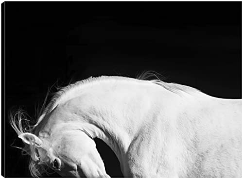 White Beauty