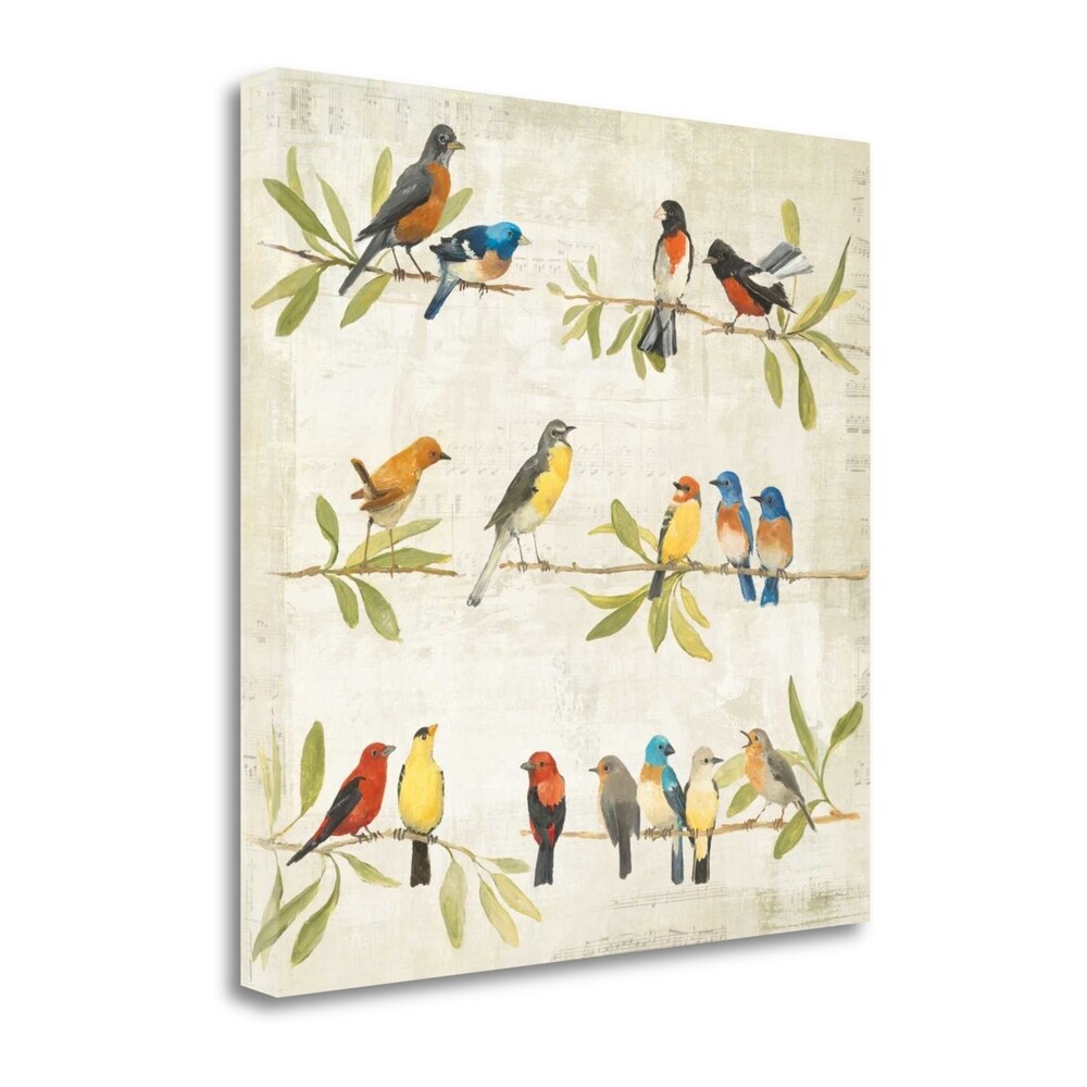 Avery Tillmon - Adoration Of The Magpie Music Giclee Art Print on Gallery Wrapped Canvas - Perfect for Home Decor, Office Wall Art & Gift Giving