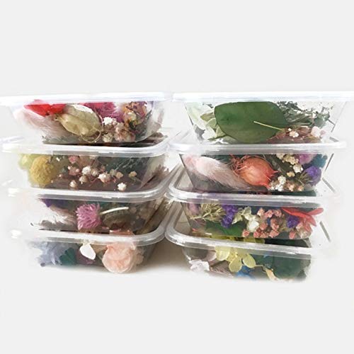 Premium Dried Flowers for Aromatherapy Candles, Epoxy Resin Jewelry Making & DIY Crafts - Natural Real Dry Plants for Pendants, Necklaces & Home Decor - Perfect Gift for Women (1 Box) | Ideal for Handmade Gifts, Wedding Favors & Boho Decor