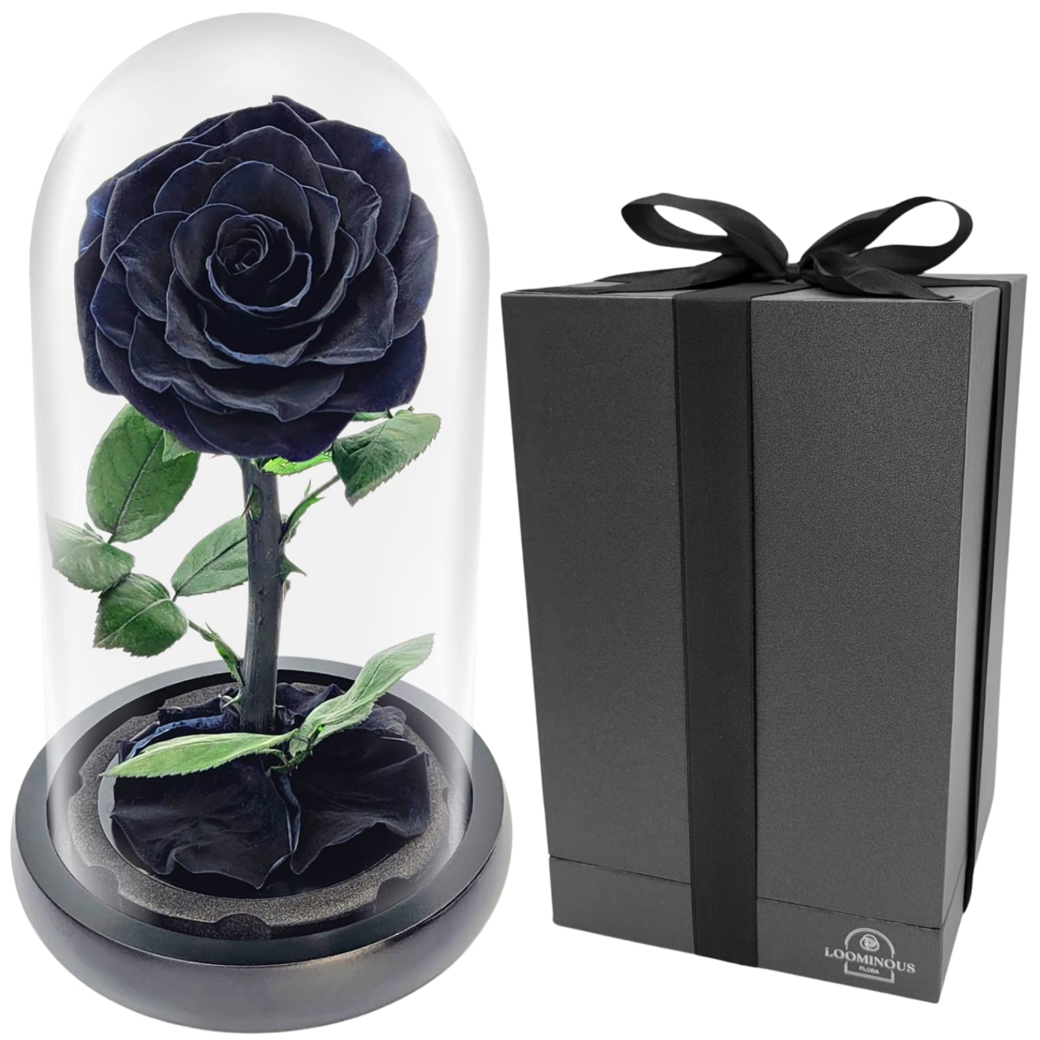Real Preserved Rose Gift for Women - Eternal Infinity Rose Birthday, Anniversary, Wedding Present for Wife, Girlfriend, Mom & Best Friend - Aesthetic Home & Office Decor - Perfect for Valentine's Day, Mother's Day & Romantic Occasions