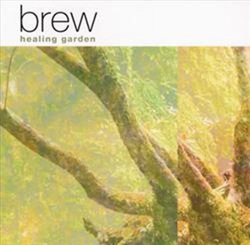 Premium Coffee Beans - Single Origin Arabica Whole Bean Coffee for Brewing Rich & Flavorful Espresso, Drip Coffee & Cold Brew - Perfect for Home, Office & Cafes