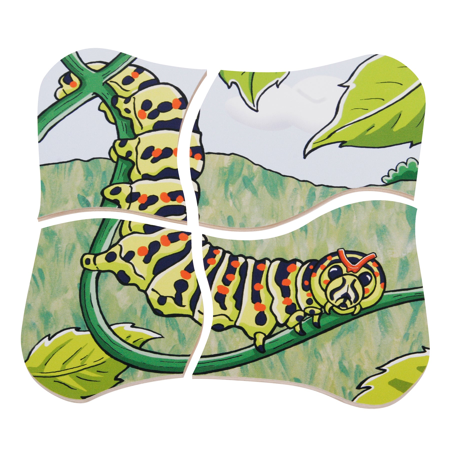 Beleduc Layer Puzzle - Transformative Butterfly Lifecycle Educational Toy for Kids | STEM Learning, Montessori Classroom & Homeschooling Activity