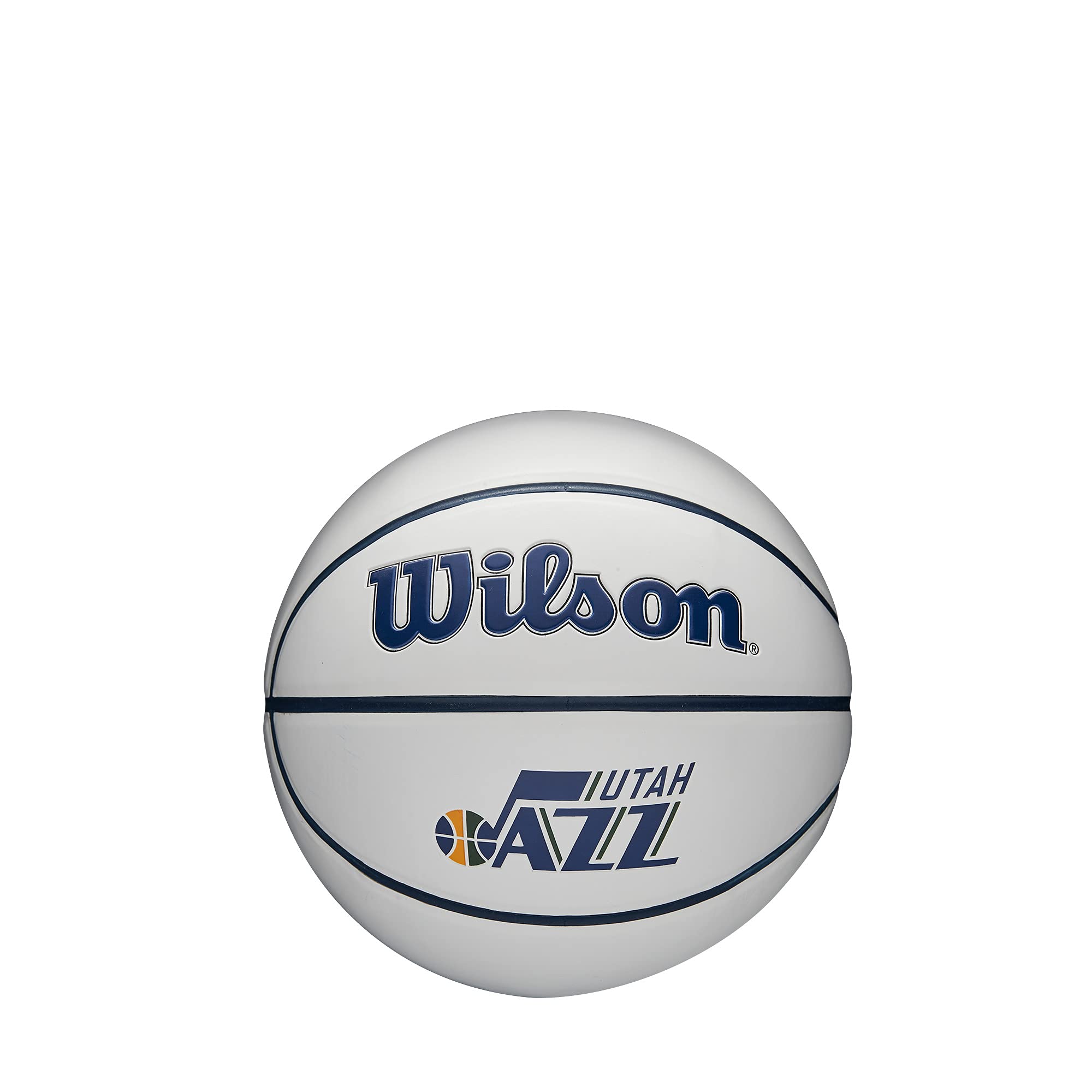 Wilson NBA Team Logo Basketballs 29.5