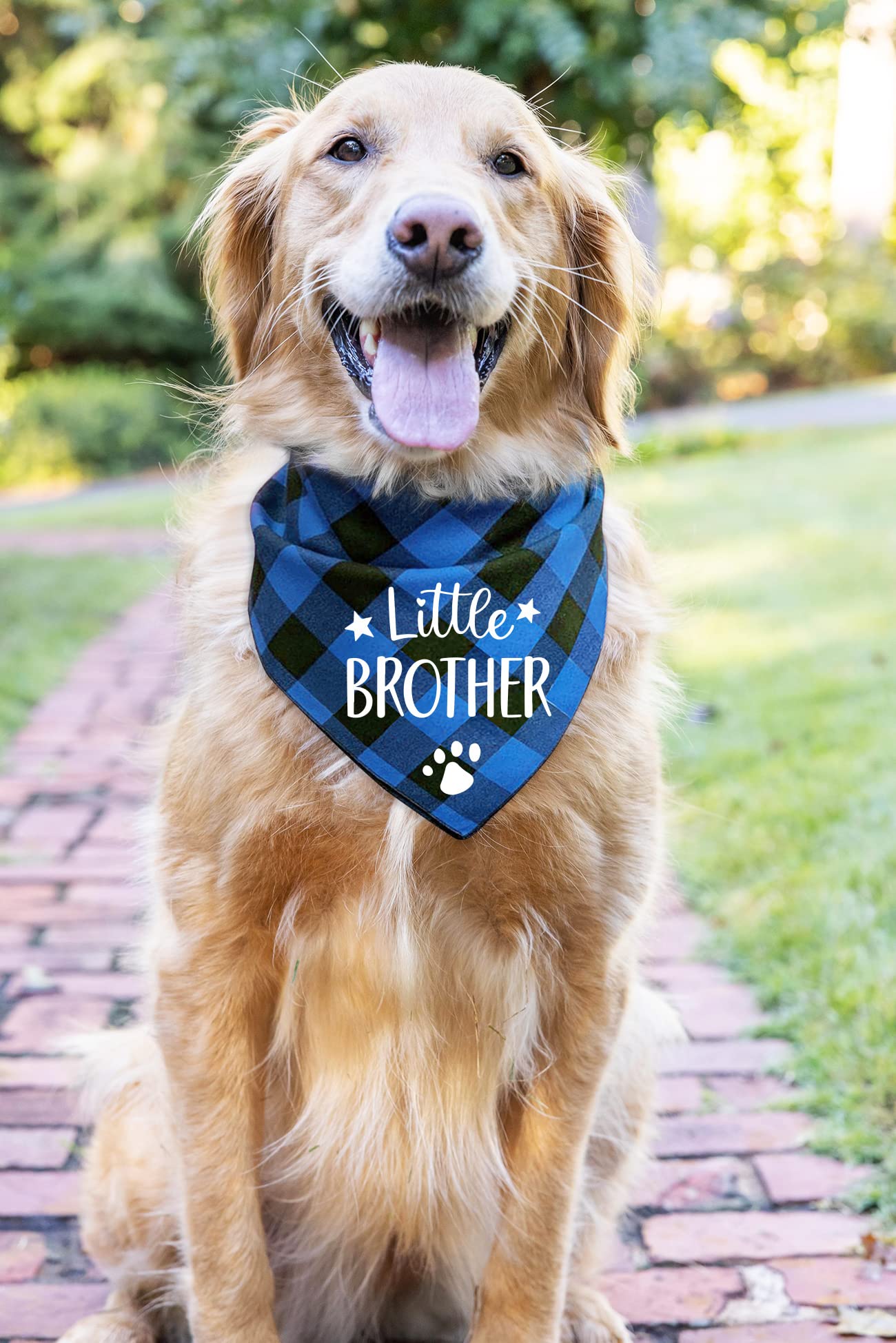 PTZIZI Blue Cotton Triangle Pet Bandana - Funny Dog Bib Scarf for Small, Medium, Large Dogs - Perfect for Birthday Parties & Pet Lovers Gift - Great for Daily Walks, Photo Shoots & Special Occasions