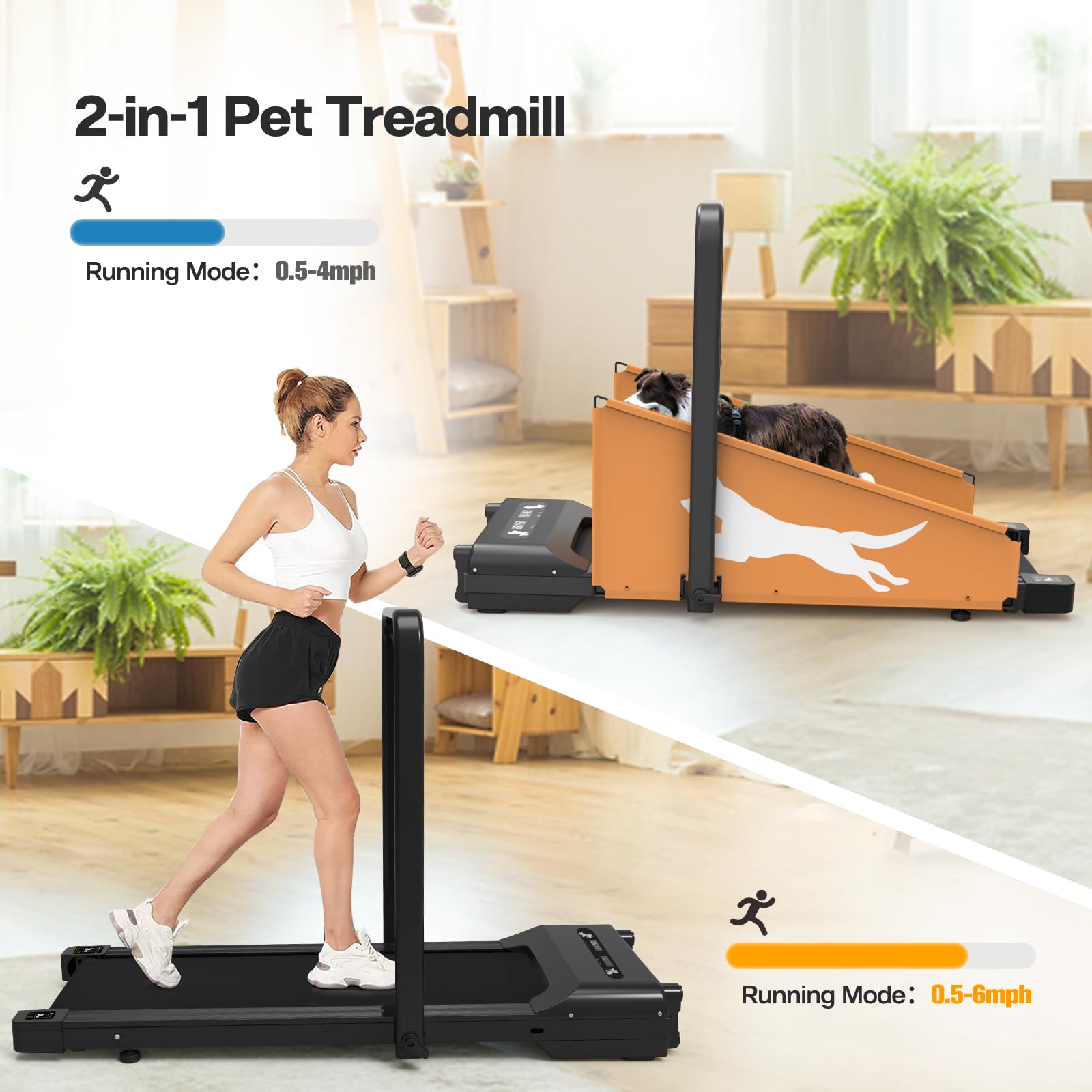 Small & Medium Dog Treadmill with Remote Control - Indoor Pet Exercise Machine for Training & Fitness - Includes Pre-Set Programs for Home Use, Dog Running & Weight Management