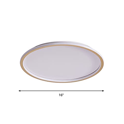 Minimalist Gold LED Flush Mount Ceiling Light - 16