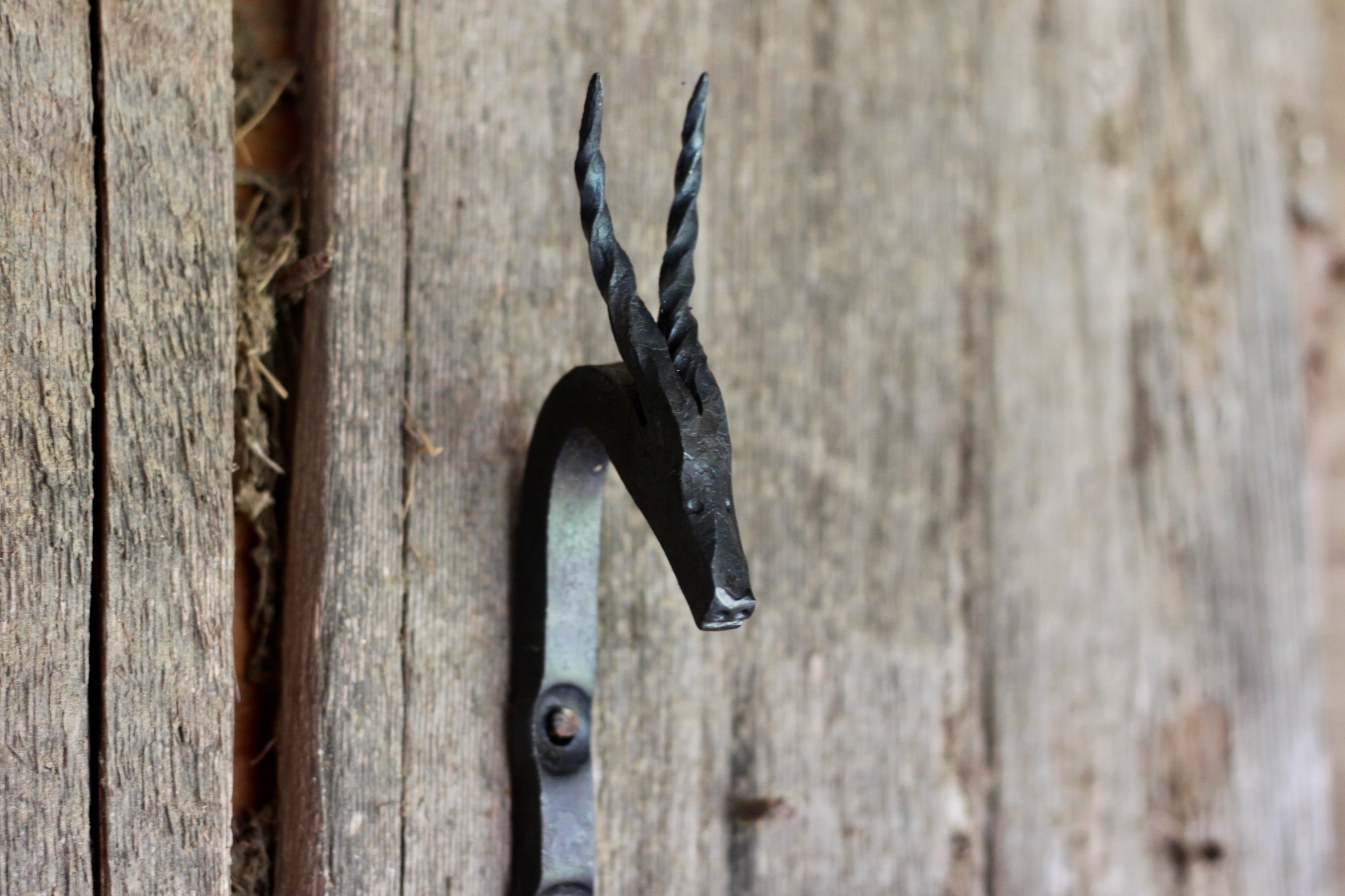 Premium Animal Hooks for Wall Decor - Ram, Bull, Longhorn, Unicorn, Gazelle & Antelope - Perfect for Farmhouse, Rustic & Western Home Decor