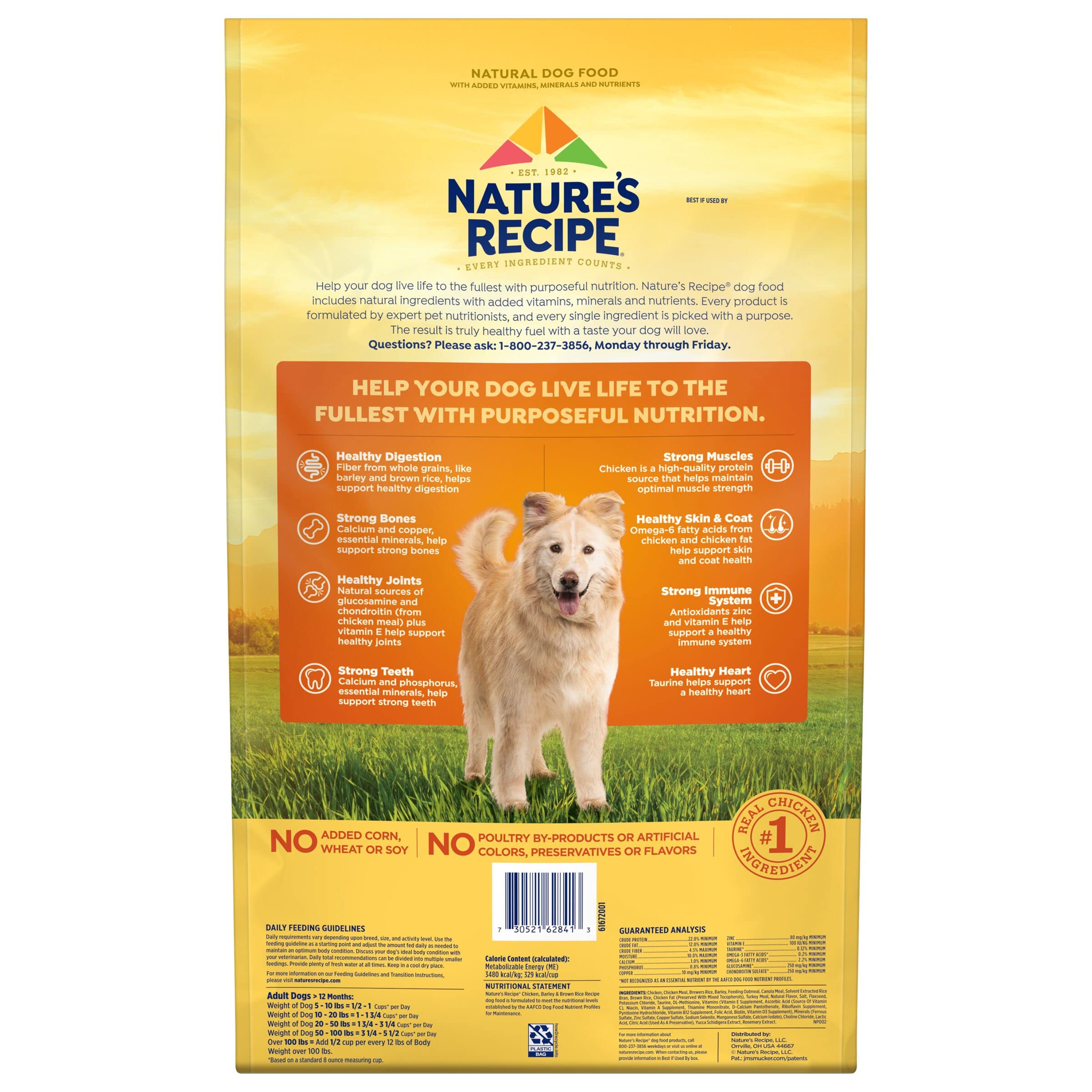 Nature's Recipe Chicken, Barley & Brown Rice Dry Dog Food - 24 lb Bag | High Protein, Grain-Inclusive Kibble for Adult Dogs | Perfect for Daily Meals & Training Treats
