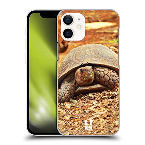 Crawling Tortoise
