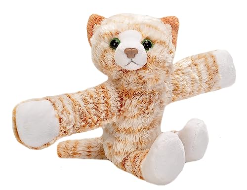 Tabby Cat