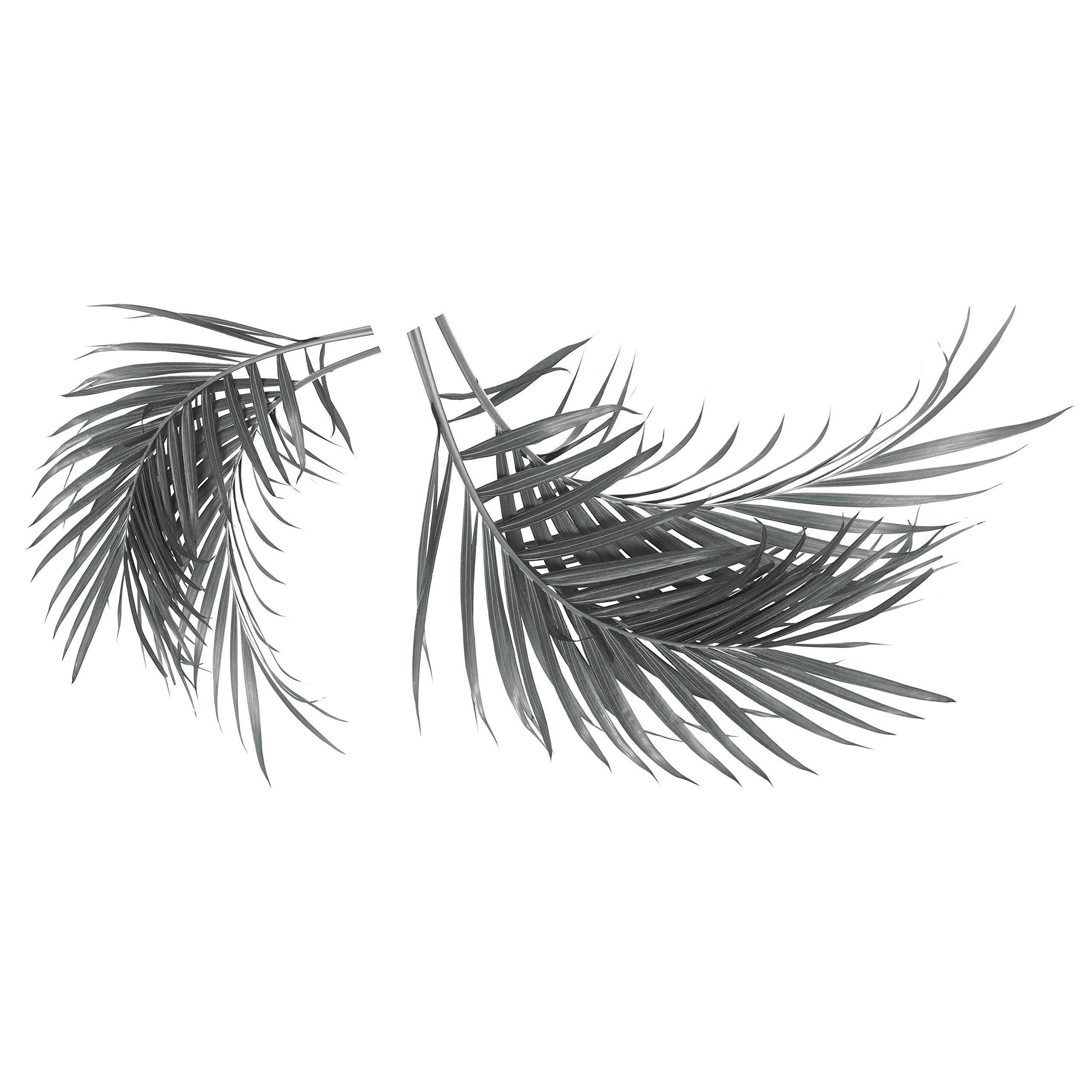 RoomMates RMK4713GM Black & White Palm Tree Peel & Stick Wall Decals - Easy DIY Wall Decor for Bedroom, Nursery, Living Room & Office