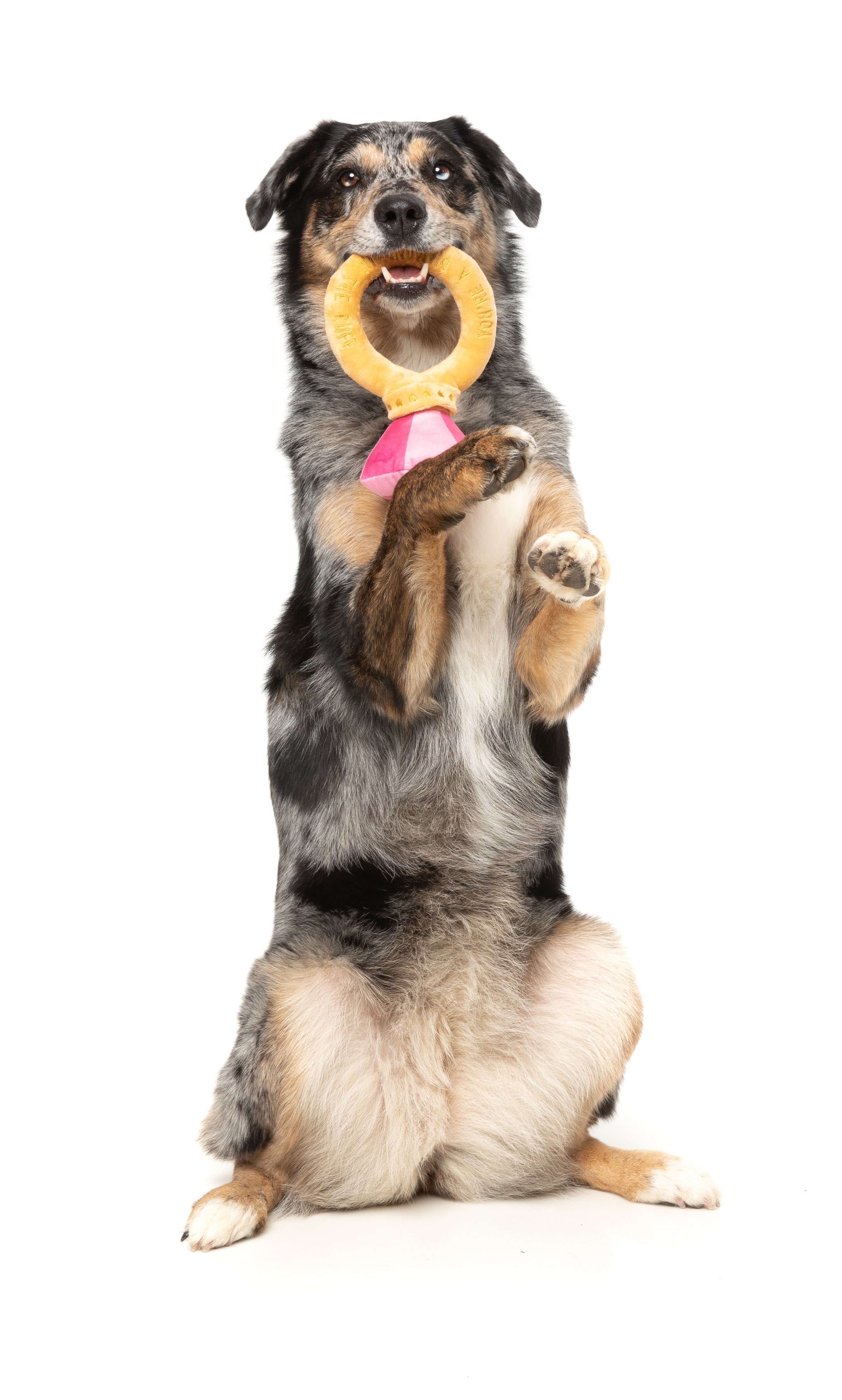 Fuzzyard Valentine's Day Plush Dog Toy - Diamond in The Ruff Ring | Cute & Durable Chew Toy for Small & Medium Dogs | Perfect for Playtime & Gifting