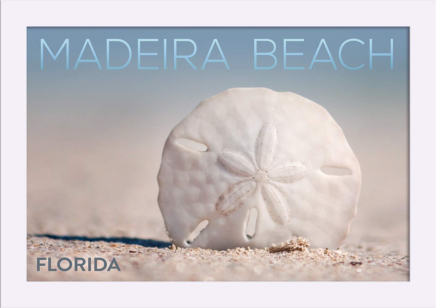 12x18 Giclee Fine Art Print - Sand Dollar on Madeira Beach Florida - Recycled Wood Frame in White - Perfect for Coastal Decor & Beach House Wall Art