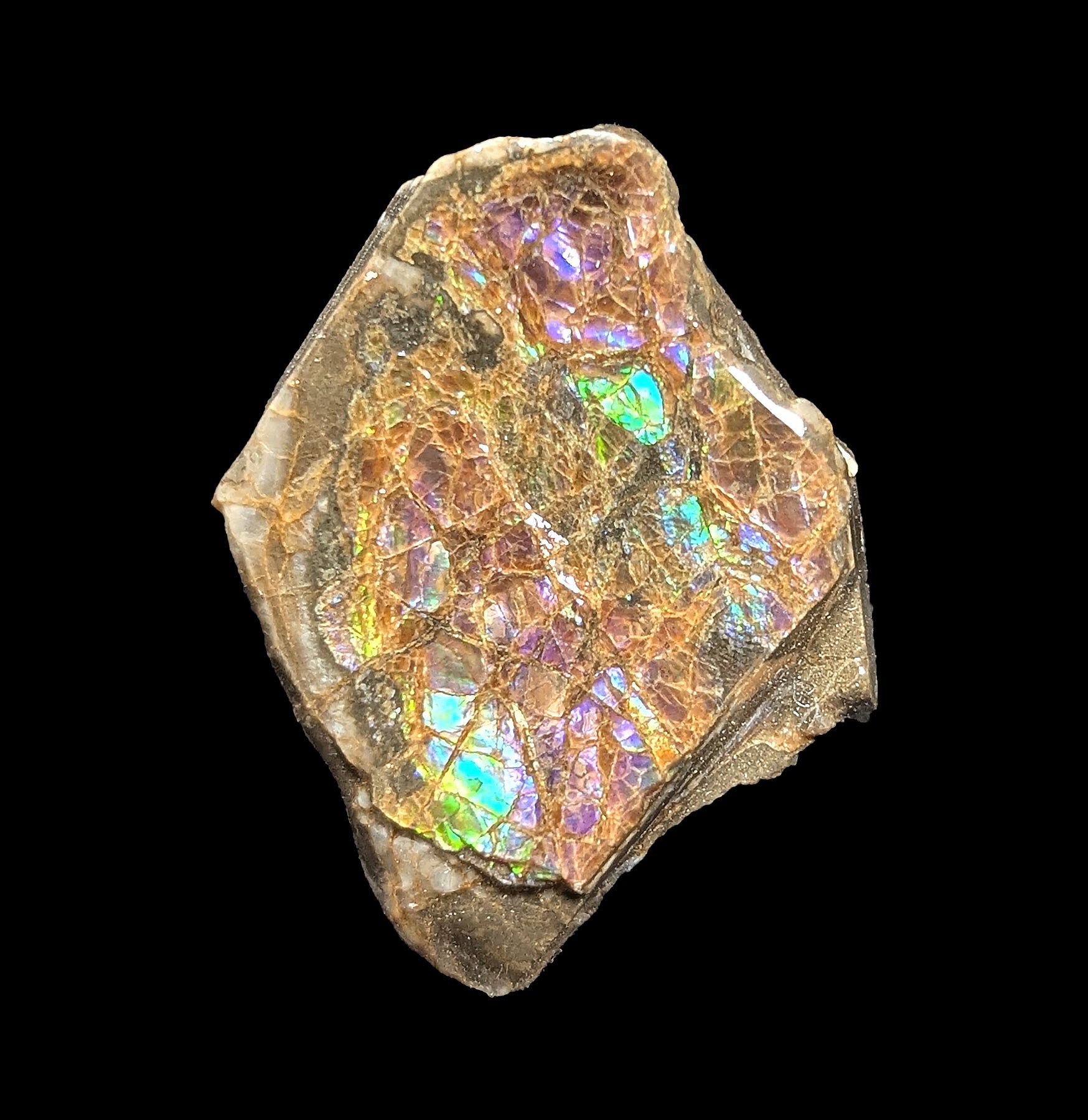 Natural Ammolite Gemstone Fragment - Rare Iridescent Fossil Shell Jewelry Making Supply for Necklaces, Rings & DIY Crafts