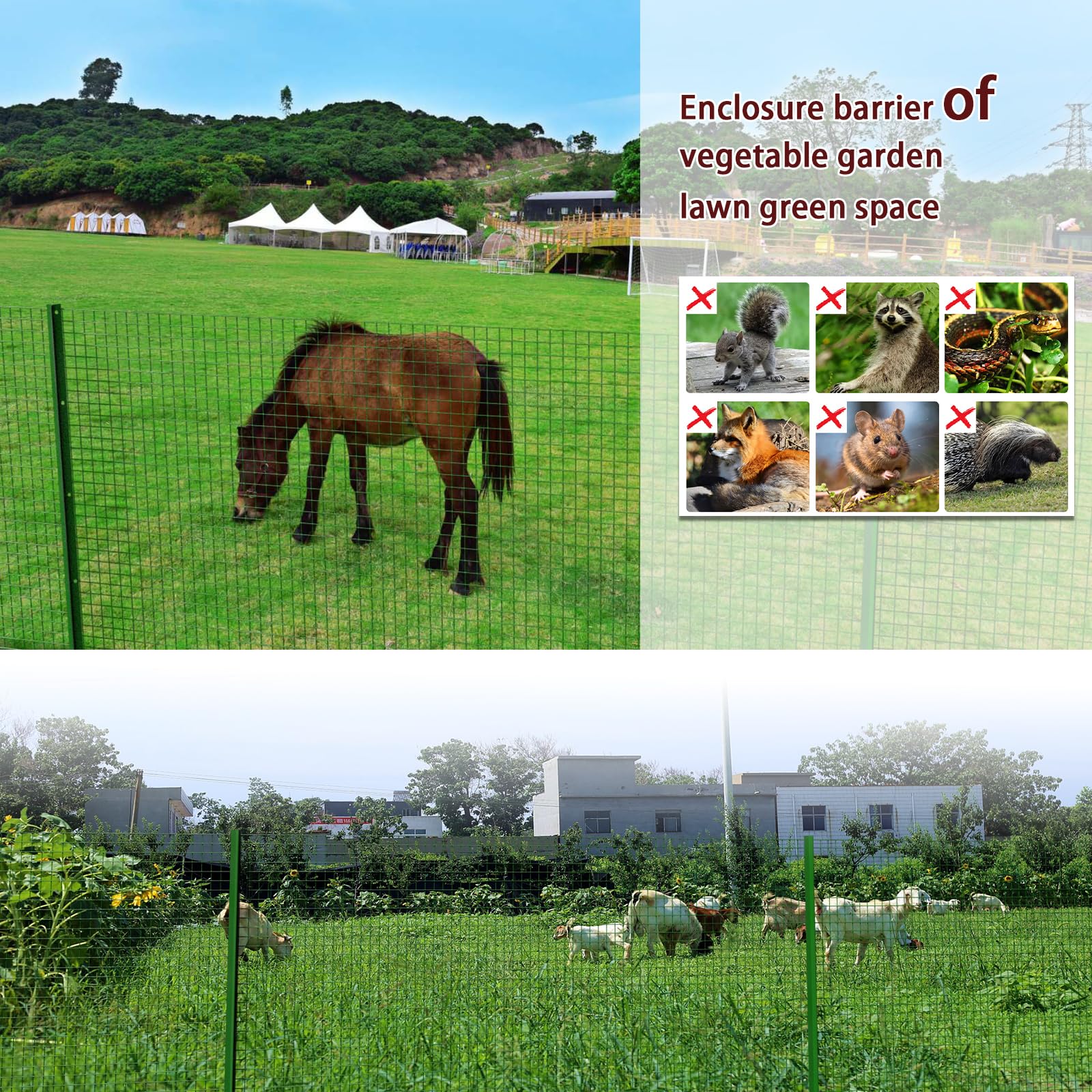 1' x 100ft PVC Coated Green Chicken Wire - 36 Inch Welded Metal Hardware Cloth for Garden Fence, Snake & Raccoon Protection, Poultry Netting | Ideal for Backyard Gardens, Chicken Coops & Animal Enclosures