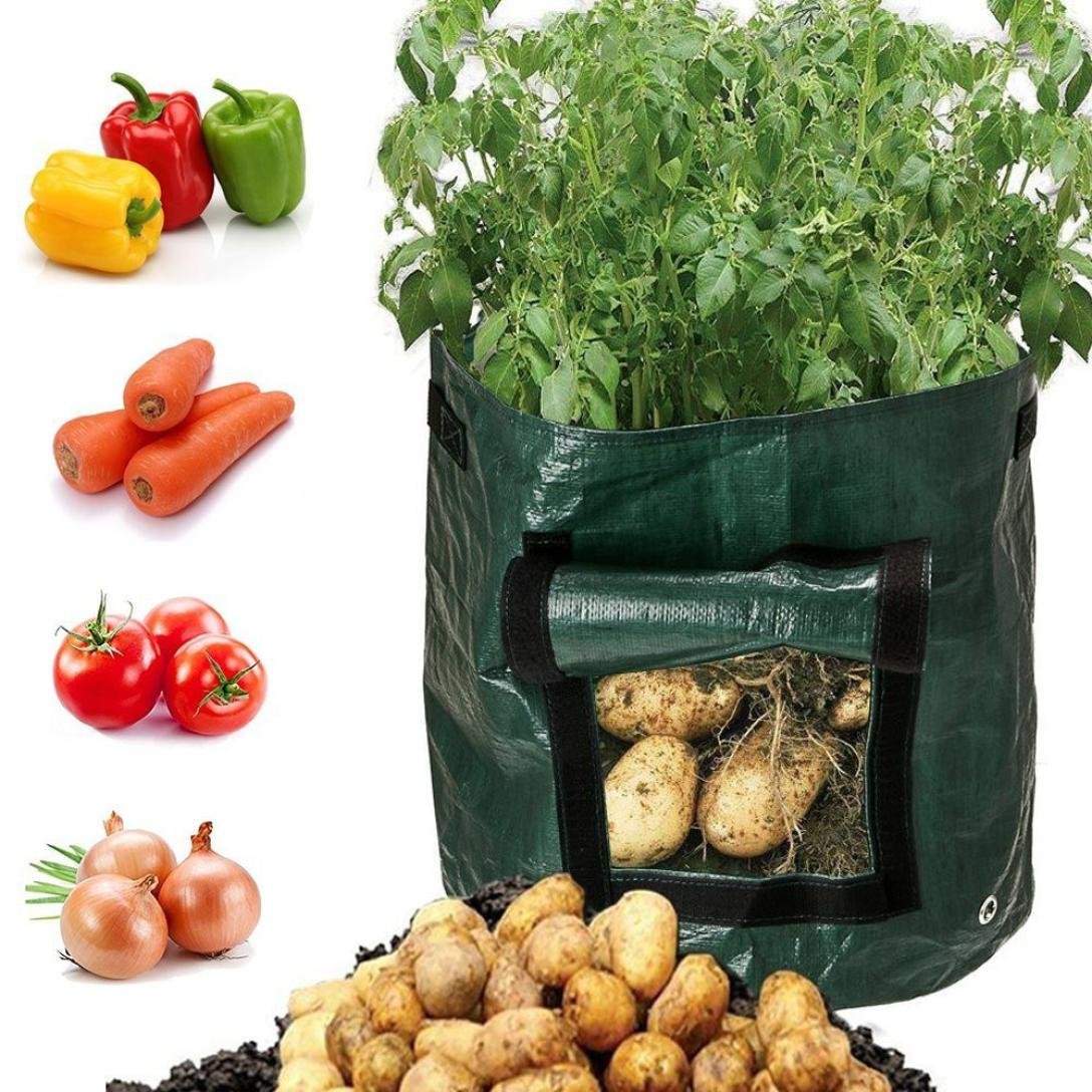 AMA(TM) 10 Gallon Potato Grow Bags - Reusable Vegetable Planter Pots with Flap & Handles for Potatoes, Carrots, Tomatoes, Onions - Green Gardening Containers for Patio, Balcony & Indoor Planting