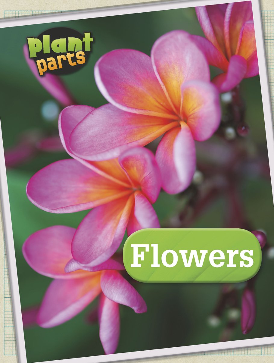 Fresh Cut Flowers - Beautiful Blooms for Home Decor, Weddings & Special Occasions | Premium Quality Roses, Tulips & More