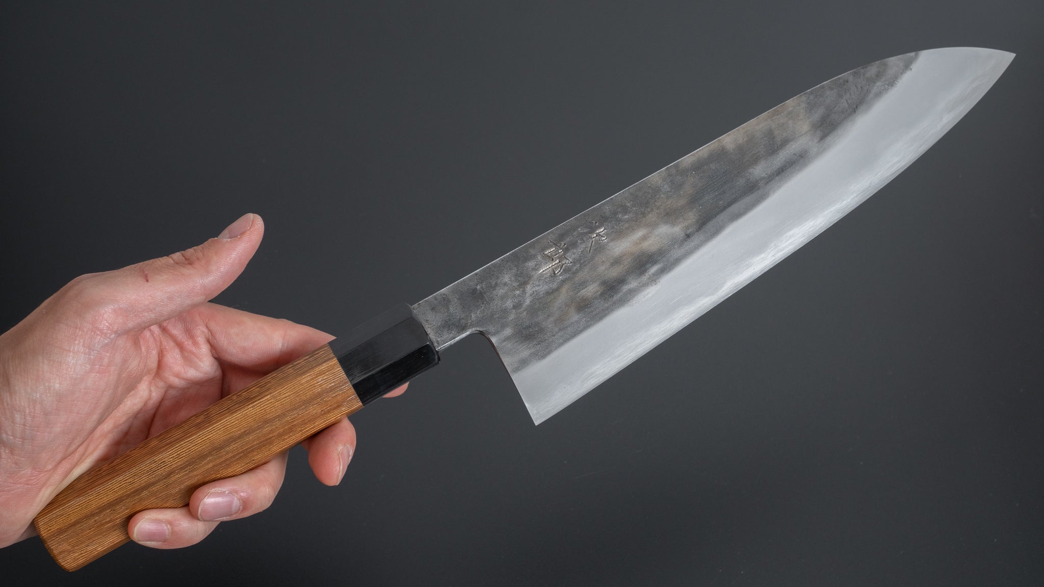 Premium Jiro Tsuchime Wa Gyuto 225mm Japanese Chef Knife with Taihei Tagayasan Handle (#262) - Perfect for Sushi, Sashimi & Precision Cutting in Professional Kitchens