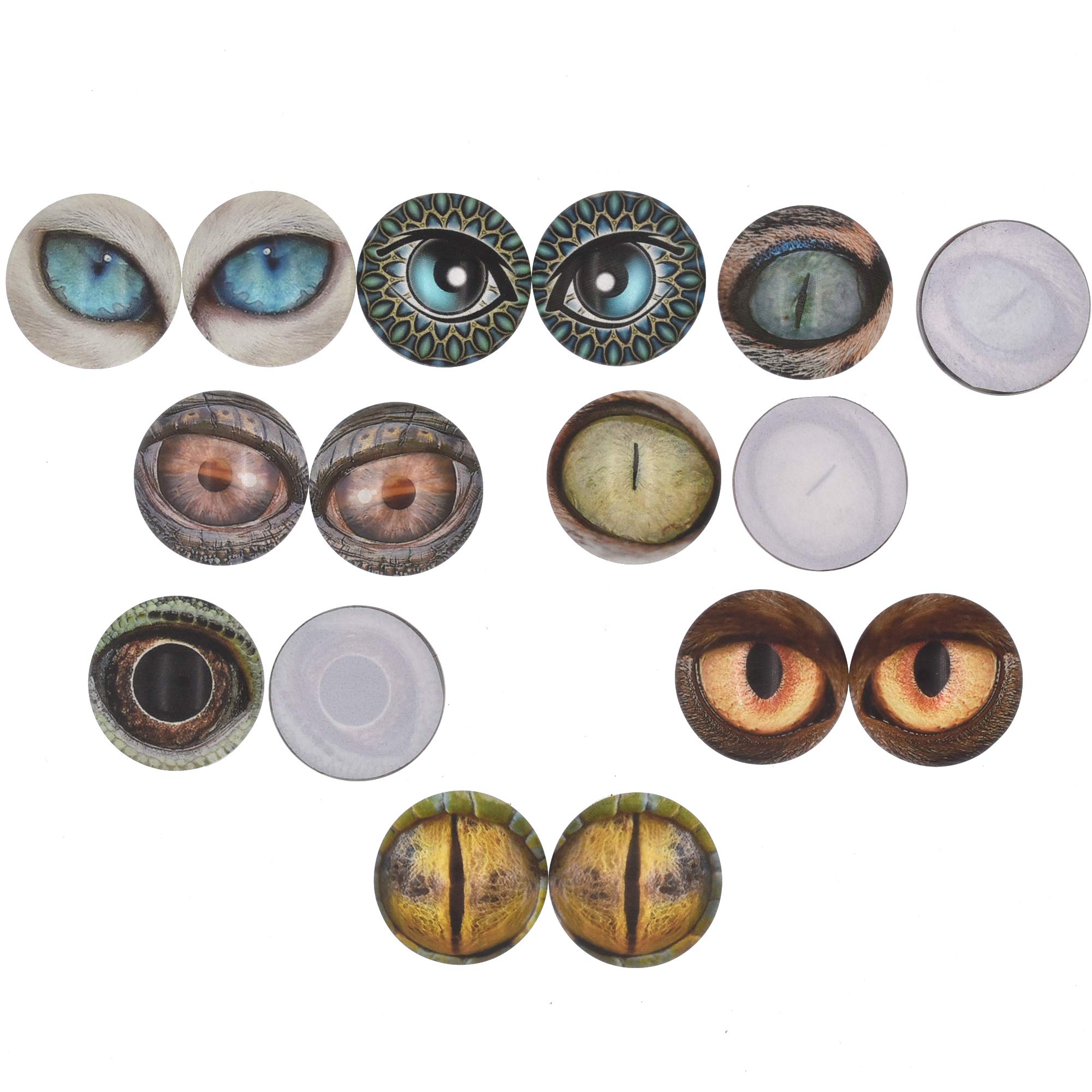 10 Pairs 20mm Glow in the Dark Glass Animal Eyes - Round Dome Glass Cabochons Flatback for DIY Crafts, Polymer Clay, Resin Jewelry & Scrapbooking - Perfect for Doll Making, Halloween Decorations & Nighttime Projects