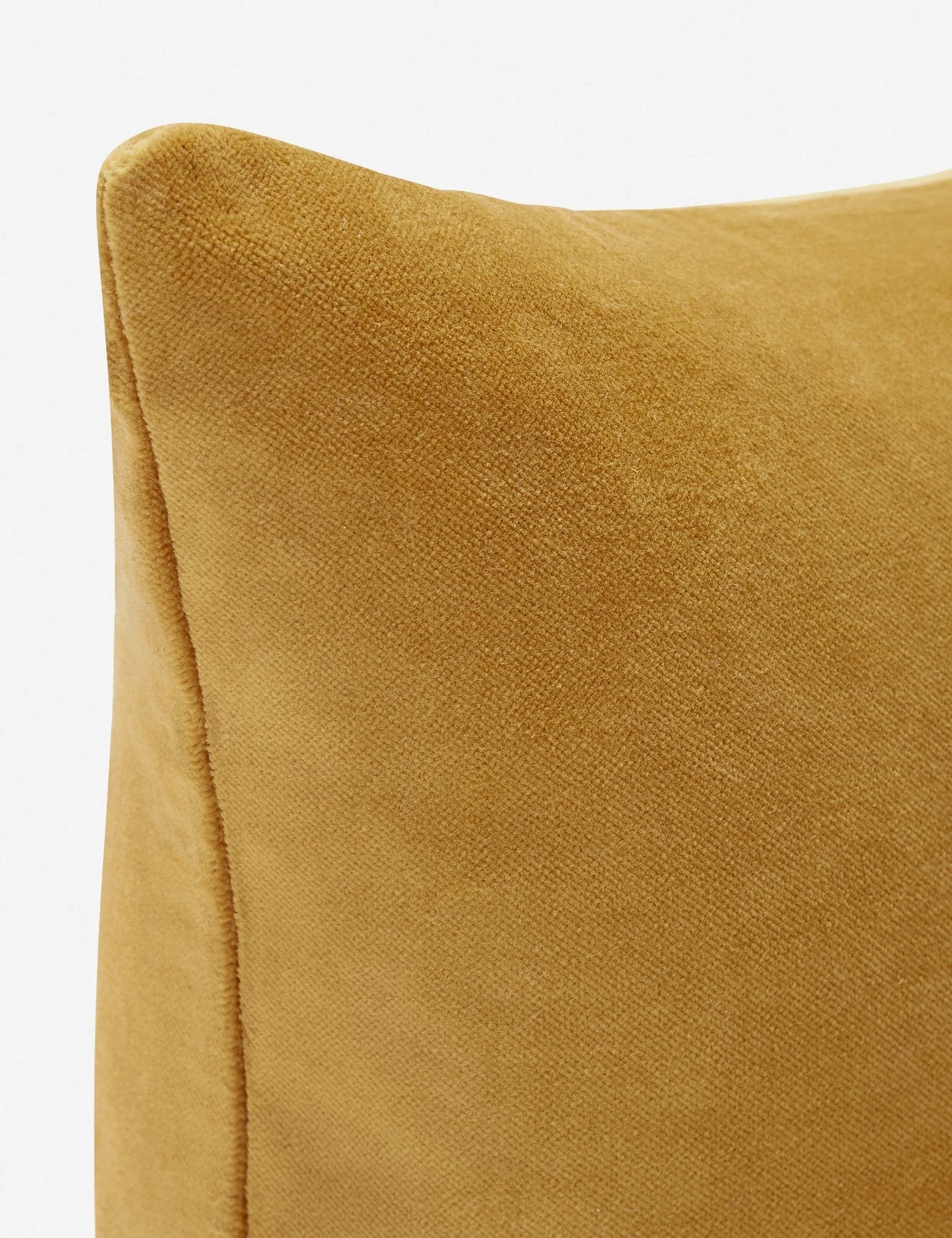 Charlotte Velvet Lumbar Pillow - Luxury Decorative Cushion for Sofa, Bed & Home Decor - Perfect for Living Room, Bedroom & Office