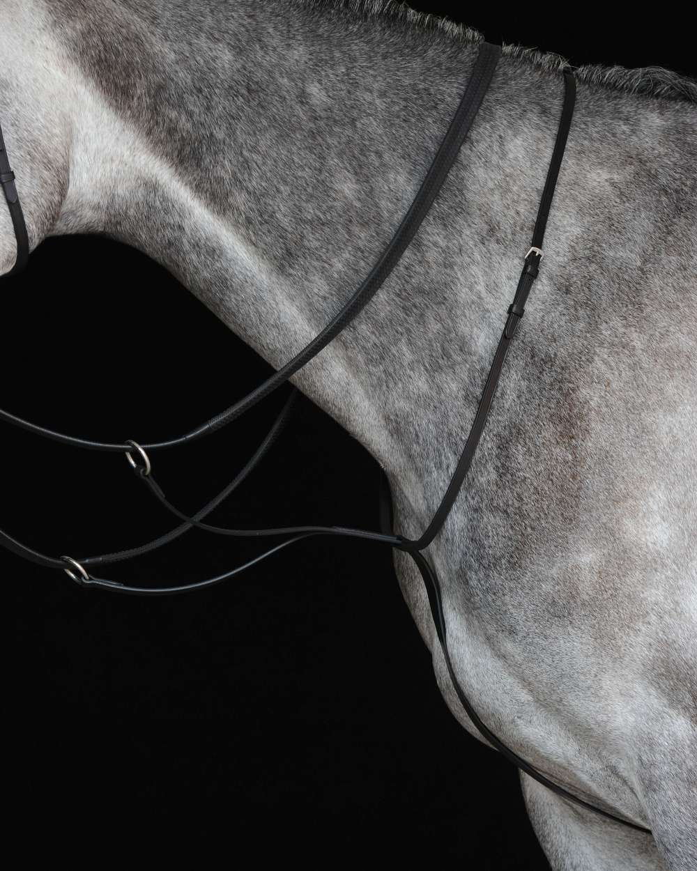 Collegiate Running Martingale IV - Adjustable Horse Training Aid for Equestrian Sports & Dressage Riding