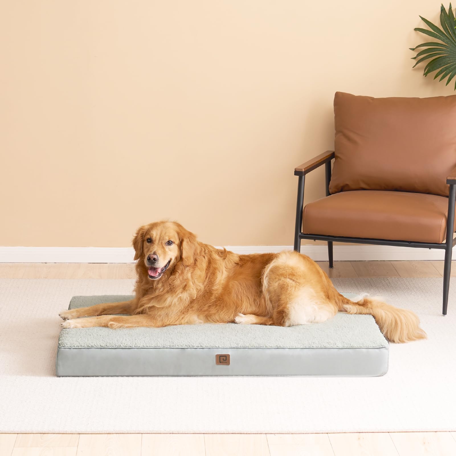 Orthopedic Dog Bed for Large Dogs - Washable Removable Cover, Greyish Green, 35x23 - Perfect for Crates, Kennels & Home Comfort