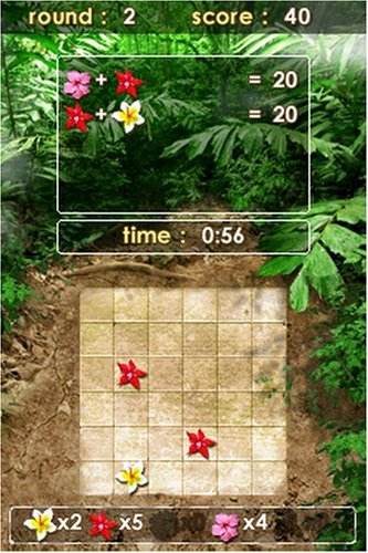 Zenses: Rainforest Edition - Nintendo DS Game | Relaxing Puzzle & Nature Sounds for Stress Relief | Perfect for Travel & Home Entertainment