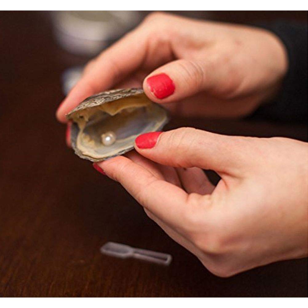Love Pearl Creations Wish Kit with Humpback Whale Pendant Necklace - Perfect for Birthdays, Anniversaries & Spiritual Gifts